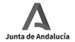 junta andalucia-bn
